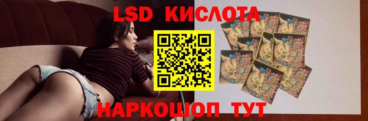 Губкинский  Лсд 25 экстази ecstasy  Лсд 25 экстази ecstasy  Вход с VPN 