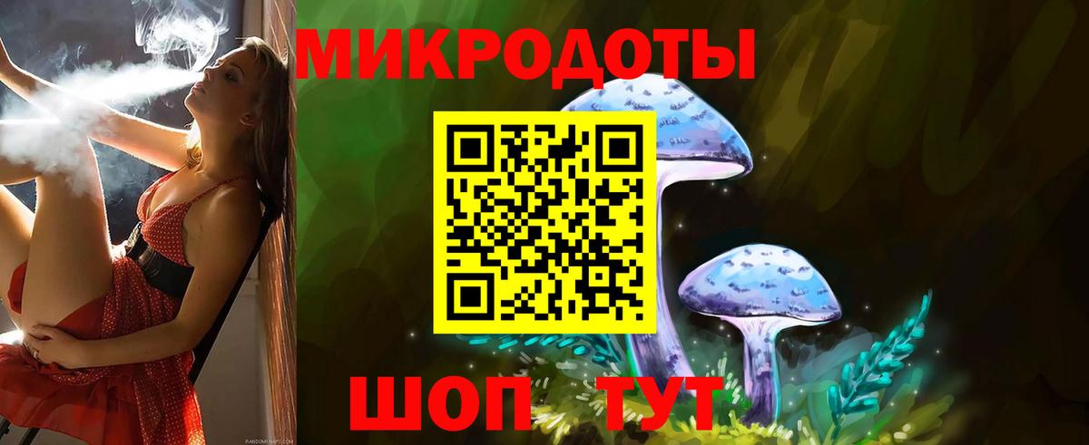 Псилоцибиновые грибы Psilocybe Губкинский